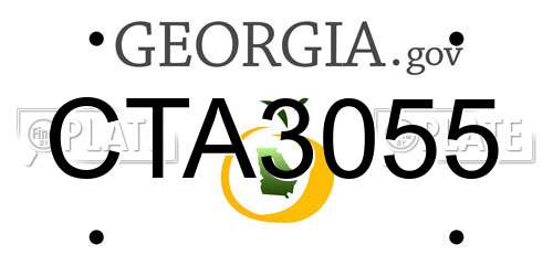 CTA3055 Georgia License Plate