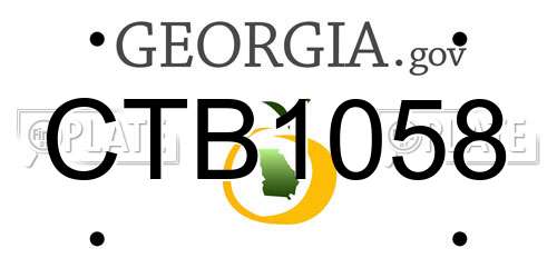 CTB1058 Georgia License Plate