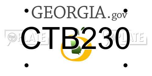 CTB230 Georgia License Plate