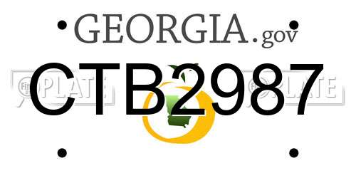 CTB2987 Georgia License Plate