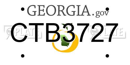 CTB3727 Georgia License Plate