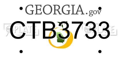 CTB3733 Georgia License Plate