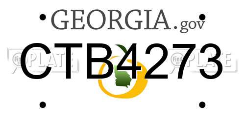 CTB4273 Georgia License Plate