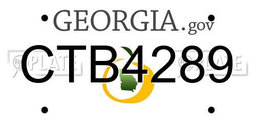 CTB4289 Georgia License Plate