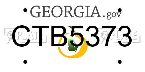 CTB5373 Georgia License Plate