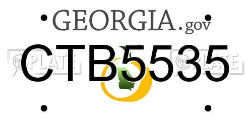 CTB5535 Georgia License Plate