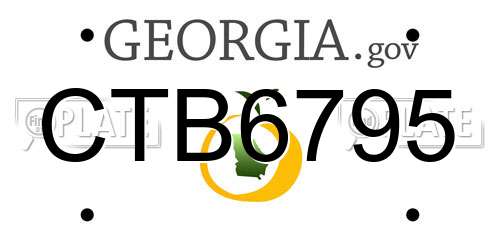 CTB6795 Georgia License Plate