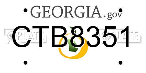 CTB8351 Georgia License Plate