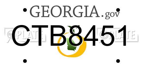 CTB8451 Georgia License Plate