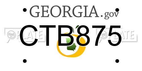 CTB875 Georgia License Plate