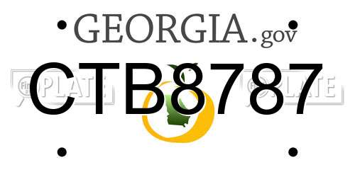 CTB8787 Georgia License Plate