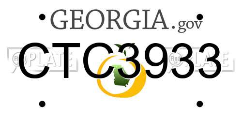 CTC3933 Georgia License Plate