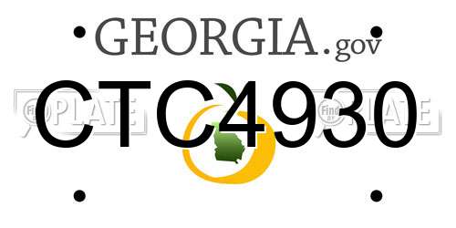 CTC4930 Georgia License Plate