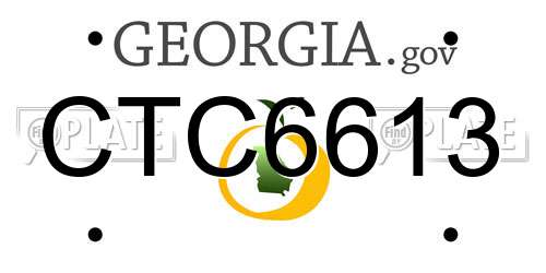 CTC6613 Georgia License Plate