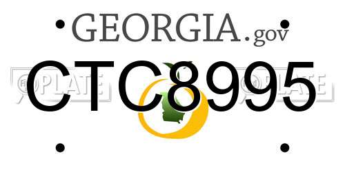 CTC8995 Georgia License Plate