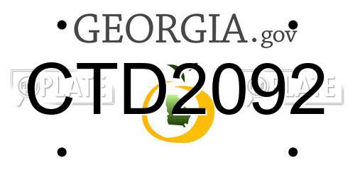 CTD2092 Georgia License Plate