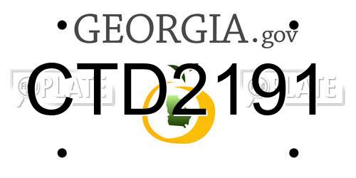CTD2191 Georgia License Plate