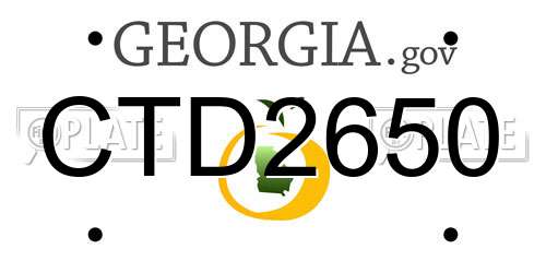 CTD2650 Georgia License Plate