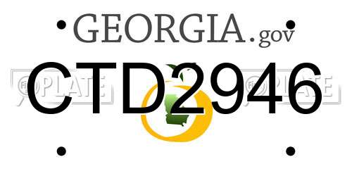 CTD2946 Georgia License Plate
