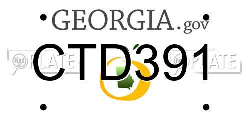 CTD391 Georgia License Plate