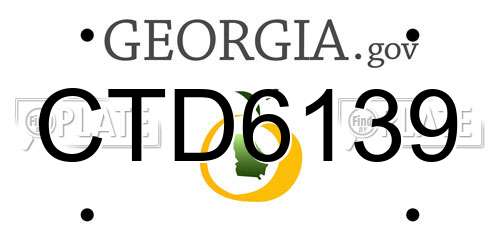 CTD6139 Georgia License Plate