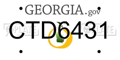 CTD6431 Georgia License Plate