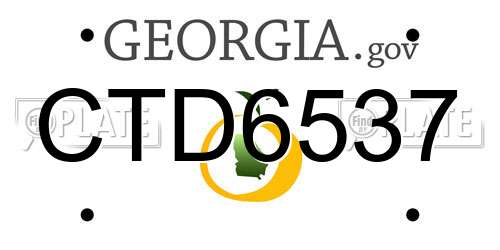 CTD6537 Georgia License Plate