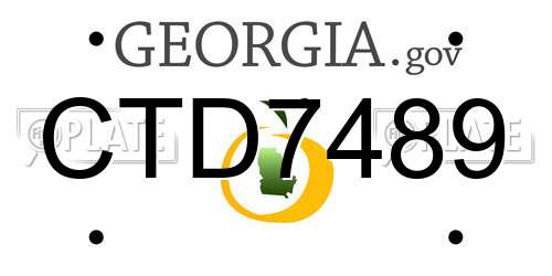 CTD7489 Georgia License Plate
