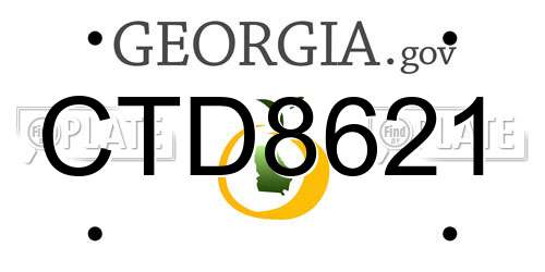 CTD8621 Georgia License Plate