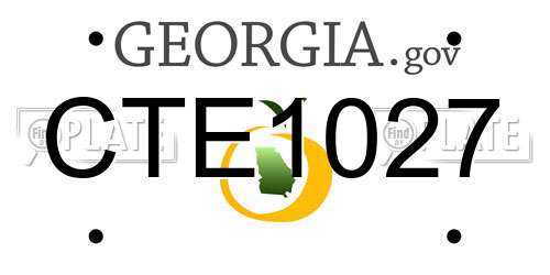 CTE1027 Georgia License Plate