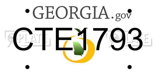 CTE1793 Georgia License Plate