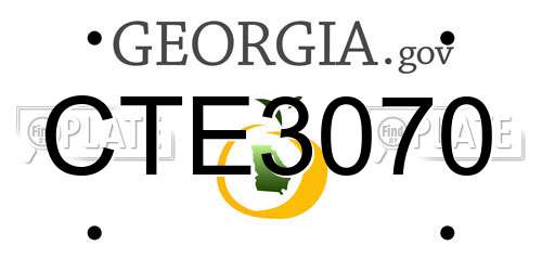 CTE3070 Georgia License Plate