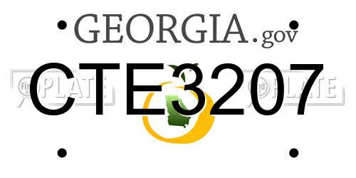 CTE3207 Georgia License Plate