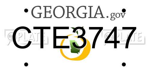 CTE3747 Georgia License Plate