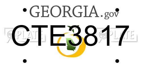 CTE3817 Georgia License Plate