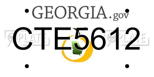 CTE5612 Georgia License Plate