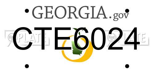 CTE6024 Georgia License Plate