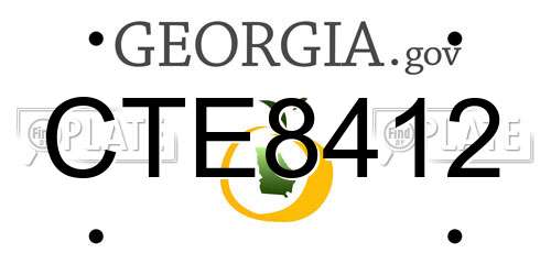 CTE8412 Georgia License Plate