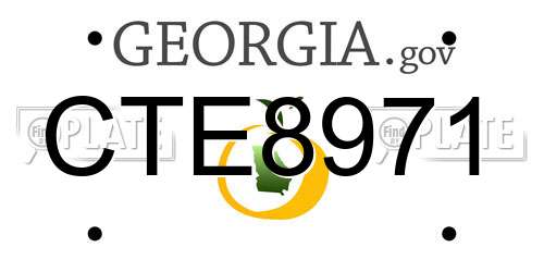 CTE8971 Georgia License Plate