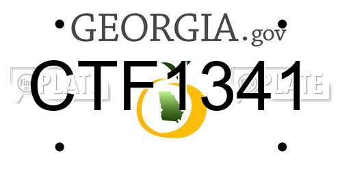 CTF1341 Georgia License Plate