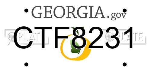 CTF8231 Georgia License Plate