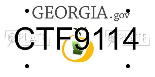 CTF9114 Georgia License Plate