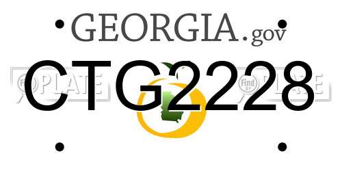 CTG2228 Georgia License Plate