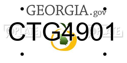 CTG4901 Georgia License Plate