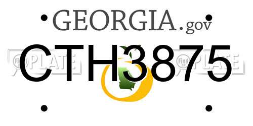 CTH3875 Georgia License Plate