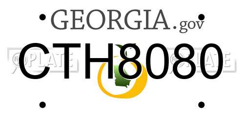 CTH8080 Georgia License Plate