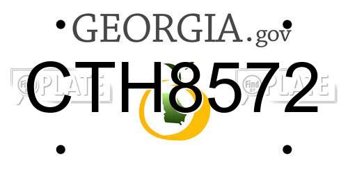 CTH8572 Georgia License Plate