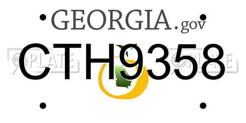 CTH9358 Georgia License Plate