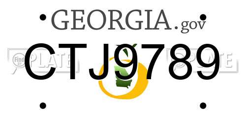 CTJ9789 Georgia License Plate