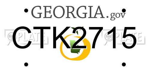 CTK2715 Georgia License Plate
